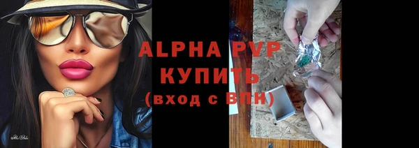 хмурый Белокуриха