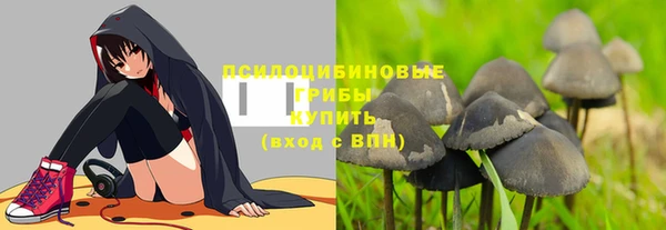 сатива Белоозёрский