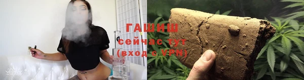 хмурый Белокуриха