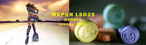 хмурый Белокуриха
