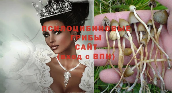 винт Беломорск