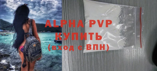 хмурый Белокуриха