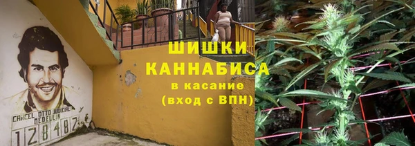хмурый Белокуриха