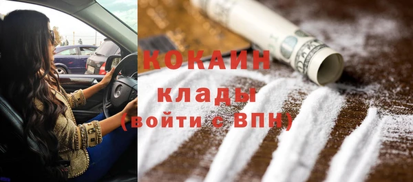 хмурый Белокуриха