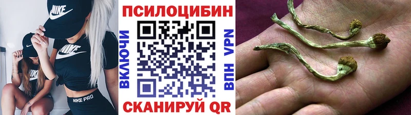 Галлюциногенные грибы Psilocybine cubensis Купить закладки Вилючинск